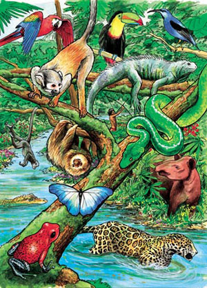 Educa 1500 PC Puzzle/Jungle Life