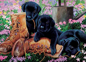 Black Lab Puppies Spring Children's Puzzles By Cobble Hill