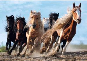 Galloping Horses Horse Jigsaw Puzzle By Trefl