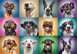 Funny Dog Portraits Dogs Jigsaw Puzzle By Trefl