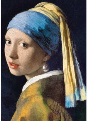 Girl With A Pearl Earring Fine Art Jigsaw Puzzle By Trefl