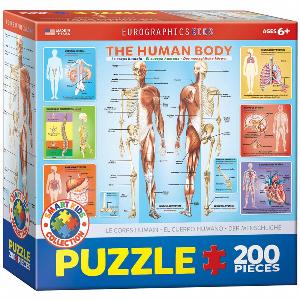 The Human Body Science Children's Puzzles By Eurographics