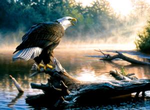 Scouting the River Eagle Jigsaw Puzzle By SunsOut