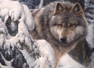 Master of the North Wolf Jigsaw Puzzle By Cobble Hill