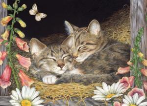 Morning Snooze Cats Children's Puzzles By Cobble Hill