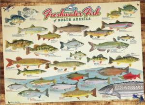 Freshwater Fish of North America Cabin & Cottage Jigsaw Puzzle By Cobble Hill