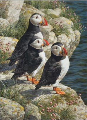 Fisherman’s Wharf Birds Jigsaw Puzzle By Cobble Hill
