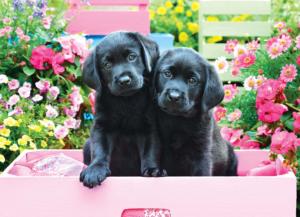 Black Labs in Pink Box Valentine's Day Large Piece By Eurographics