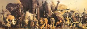 Noah's Ark  Panoramic Animals Panoramic Puzzle By Eurographics