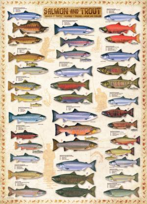 Salmon & Trout Pattern & Geometric Jigsaw Puzzle By Eurographics