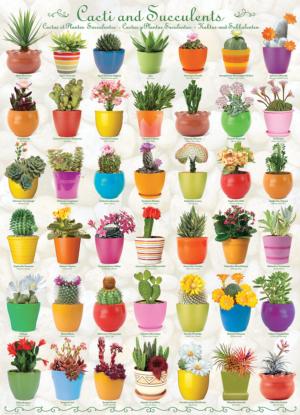 Cacti and Succulents Pattern & Geometric Jigsaw Puzzle By Eurographics
