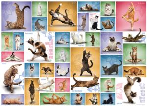 Yoga Cats Collage Impossible Puzzle By Eurographics