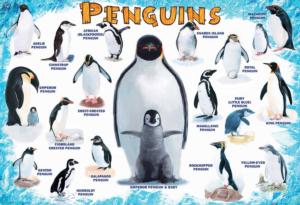 Penguins Birds Children's Puzzles By Eurographics