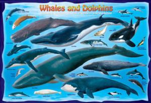 Whales & Dolphins Dolphin Children's Puzzles By Eurographics