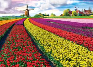 Tulip Field - Netherlands Flower & Garden Jigsaw Puzzle By Eurographics