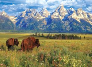 Grand Teton National Park National Parks Jigsaw Puzzle By Eurographics