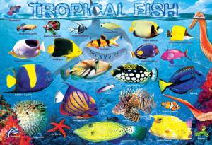 Tropical Fish Fish Children's Puzzles By Eurographics