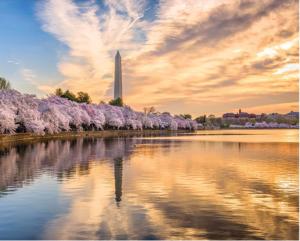 The Tidal Basin United States Jigsaw Puzzle By Pigment & Hue