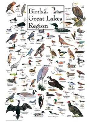 Birds of the Great Lakes Birds Jigsaw Puzzle By Heritage Puzzles
