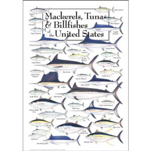 Mackerels, Tunas & Billfishes of the US Fish Jigsaw Puzzle By Heritage Puzzles