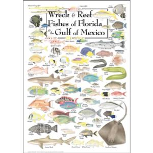 Wreck & Reef Fish of Florida & the Gulf of Mexico Fish Jigsaw Puzzle By Heritage Puzzles