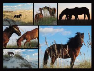Wild Horses Beach & Ocean Jigsaw Puzzle By Heritage Puzzles