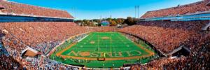 Clemson Tigers NCAA - End Zone Sports Panoramic Puzzle By MasterPieces
