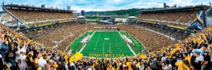 Pittsburgh Steelers NFL - End Zone Sports Panoramic Puzzle By MasterPieces
