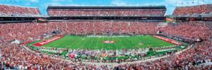 Alabama Crimson Tide NCAA Stadium Panoramics Center View Sports Panoramic Puzzle By MasterPieces