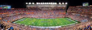 Florida Gators NCAA Stadium Panoramics Center View Sports Panoramic Puzzle By MasterPieces