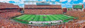 South Carolina Gamecocks NCAA Stadium Center View Photography Panoramic Puzzle By MasterPieces