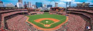 St. Louis Cardinals MLB Stadium Panoramics Center View St. Louis Panoramic Puzzle By MasterPieces