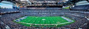 Indianapolis Colts NFL Stadium Panoramics Center View Father's Day Panoramic Puzzle By MasterPieces