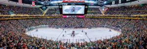 Minnesota Wild NHL Stadium Panoramics Center View Sports Panoramic Puzzle By MasterPieces