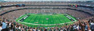 New York Jets NFL Stadium Panoramics Center View Sports Panoramic Puzzle By MasterPieces