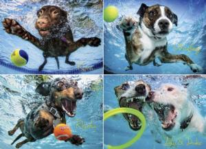 Underwater Dogs 2 Photography Jigsaw Puzzle By Willow Creek Press