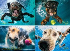 Underwater Dogs:  Splash Photography Jigsaw Puzzle By Willow Creek Press