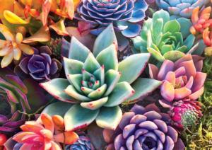 Simple Succulents Flower & Garden Large Piece By Buffalo Games