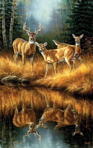Whitetail Reflections Animals Jigsaw Puzzle By SunsOut