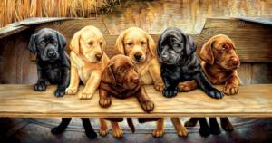 All Hands on Deck Dogs Jigsaw Puzzle By SunsOut