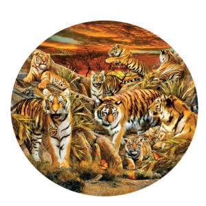 Tigers Galore Big Cats Impossible Puzzle By SunsOut