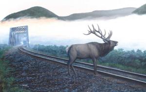Elk Tracks Train Jigsaw Puzzle By SunsOut