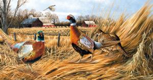 Pheasant Farm Birds Jigsaw Puzzle By SunsOut