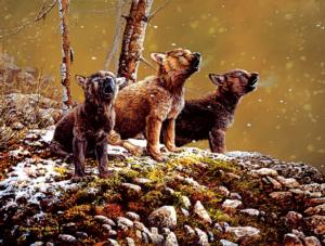 Nature's Song Wolf Jigsaw Puzzle By SunsOut