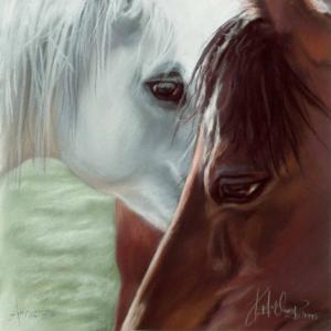 Attraction Horse Jigsaw Puzzle By SunsOut