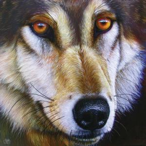 Wolf Face Wolf Jigsaw Puzzle By SunsOut