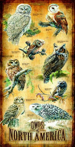 Owls of North America United States Panoramic Puzzle By SunsOut