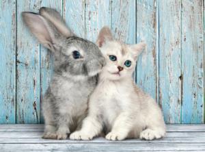 Cat & Bunny Easter Jigsaw Puzzle By Clementoni