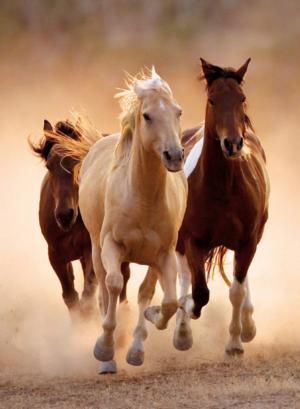 Running Horses Horse Jigsaw Puzzle By Clementoni
