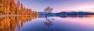 Lake Wanaka Tree Lakes & Rivers Panoramic Puzzle By Clementoni